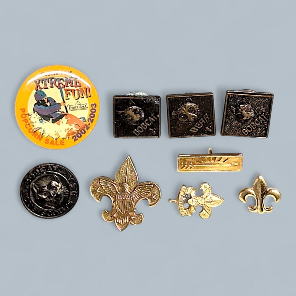 Vintage Cub Scout Boy Scout Pins Lot Of 9